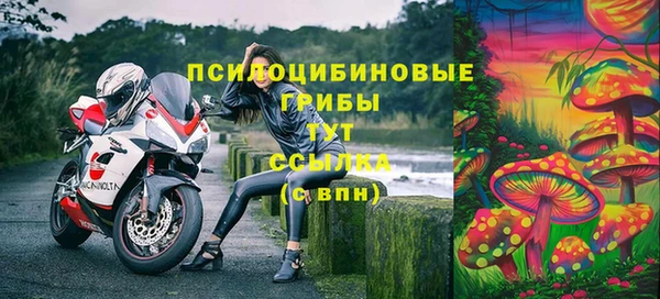 apvp Нефтегорск