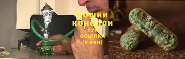 шишки Новокубанск