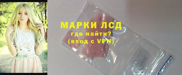 шишки Новокубанск