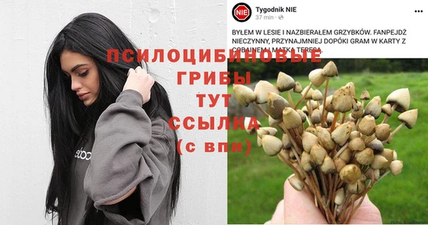 шишки Новокубанск