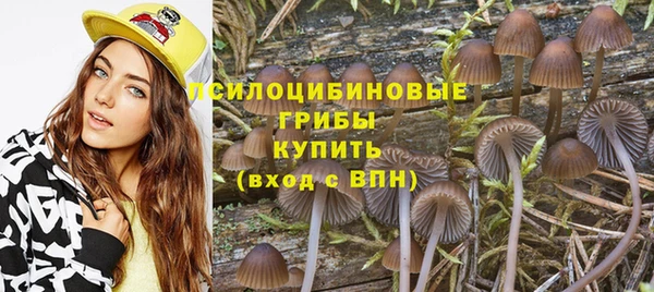 шишки Новокубанск
