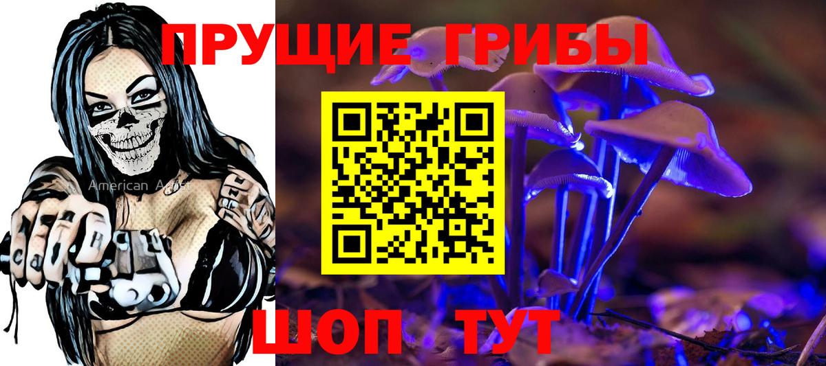 Курчатов  Псилоцибиновые грибы Magic Shrooms  Галлюциногенные грибы Magic Shrooms  Вход с VPN 