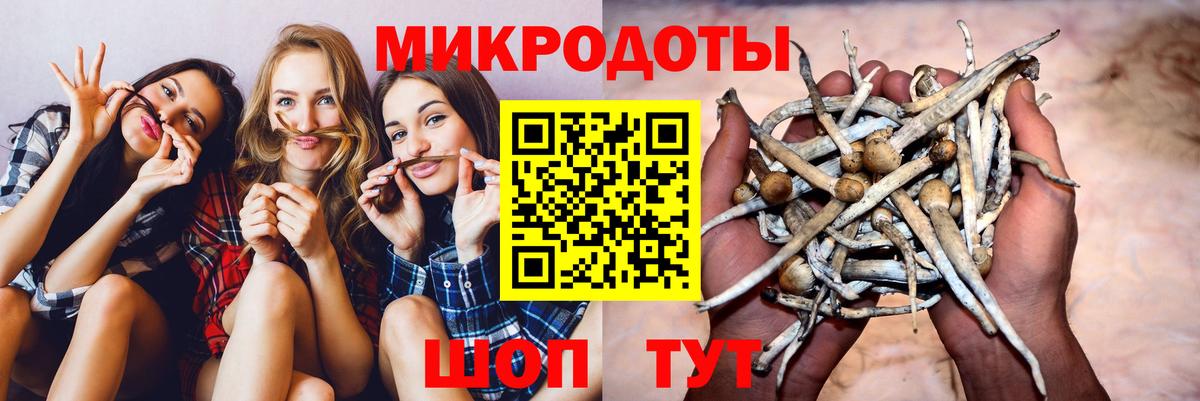Псилоцибиновые грибы мухоморы Курчатов